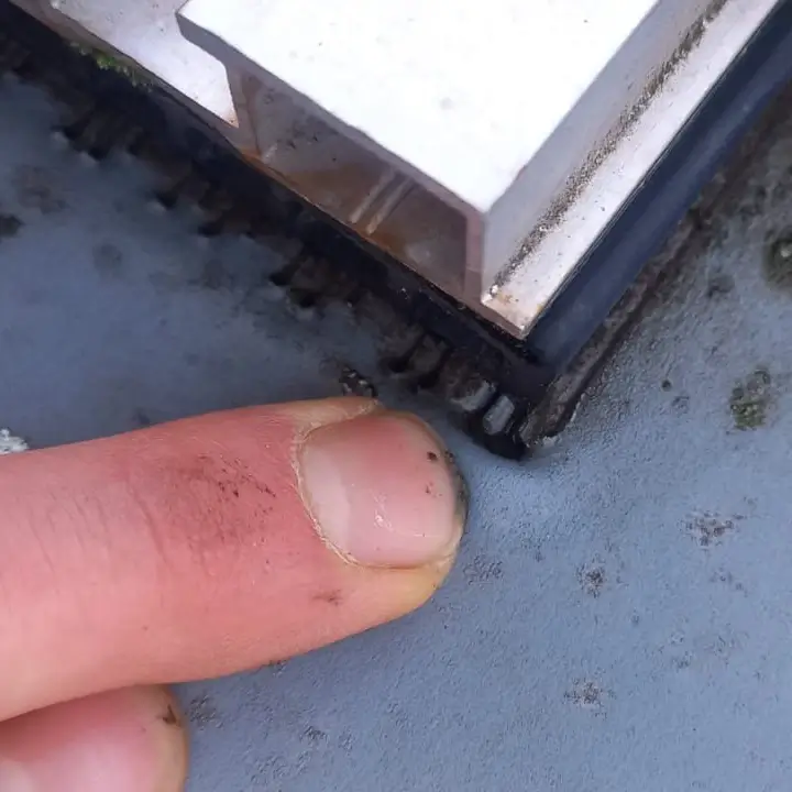 leckageortung berlin